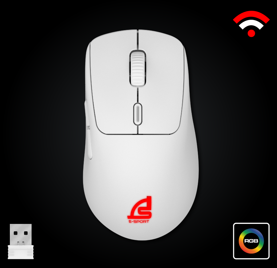 mouse