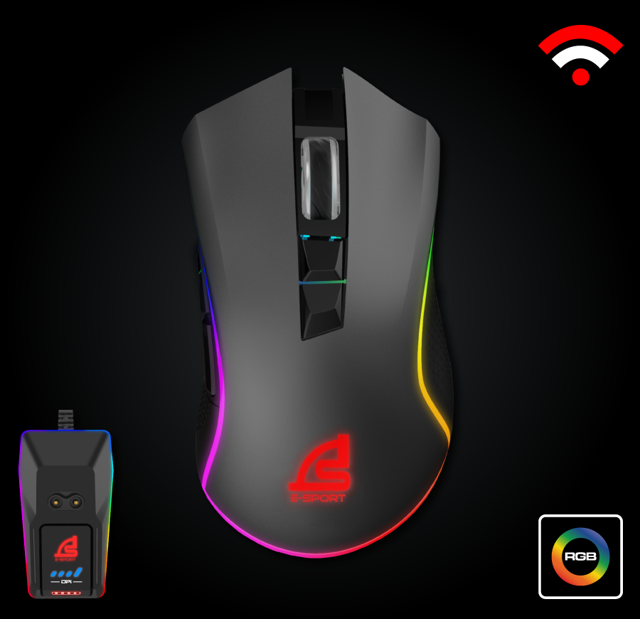 mouse