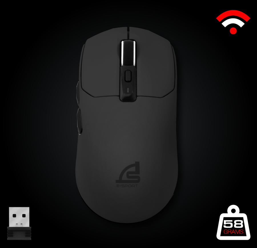 mouse
