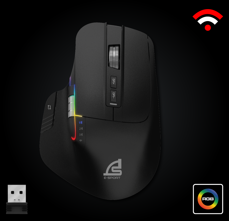mouse
