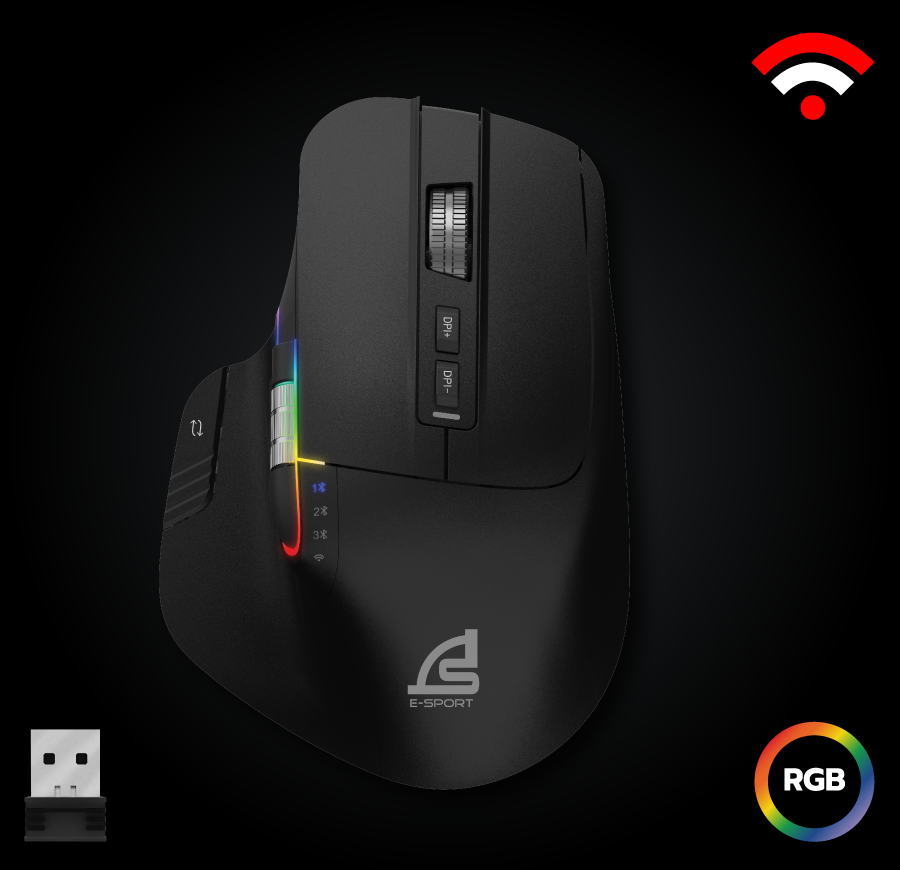 mouse