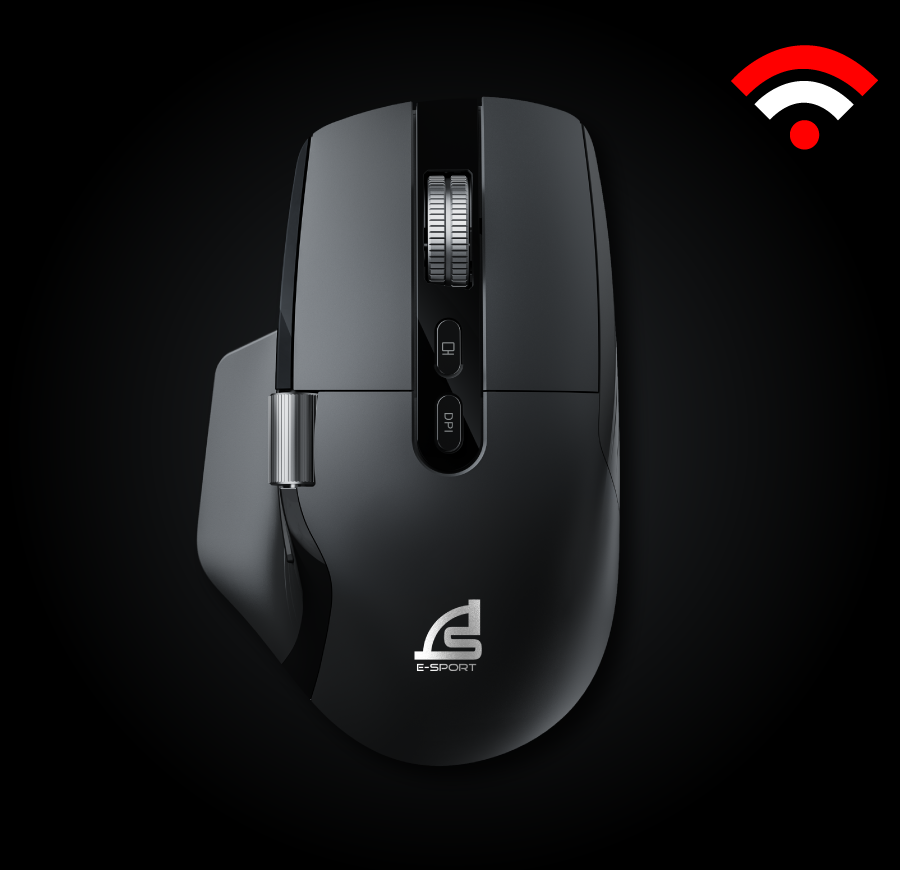 mouse
