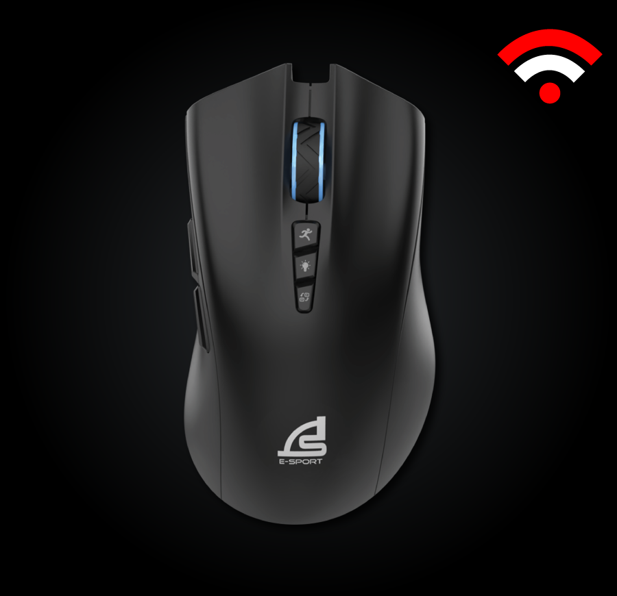 mouse