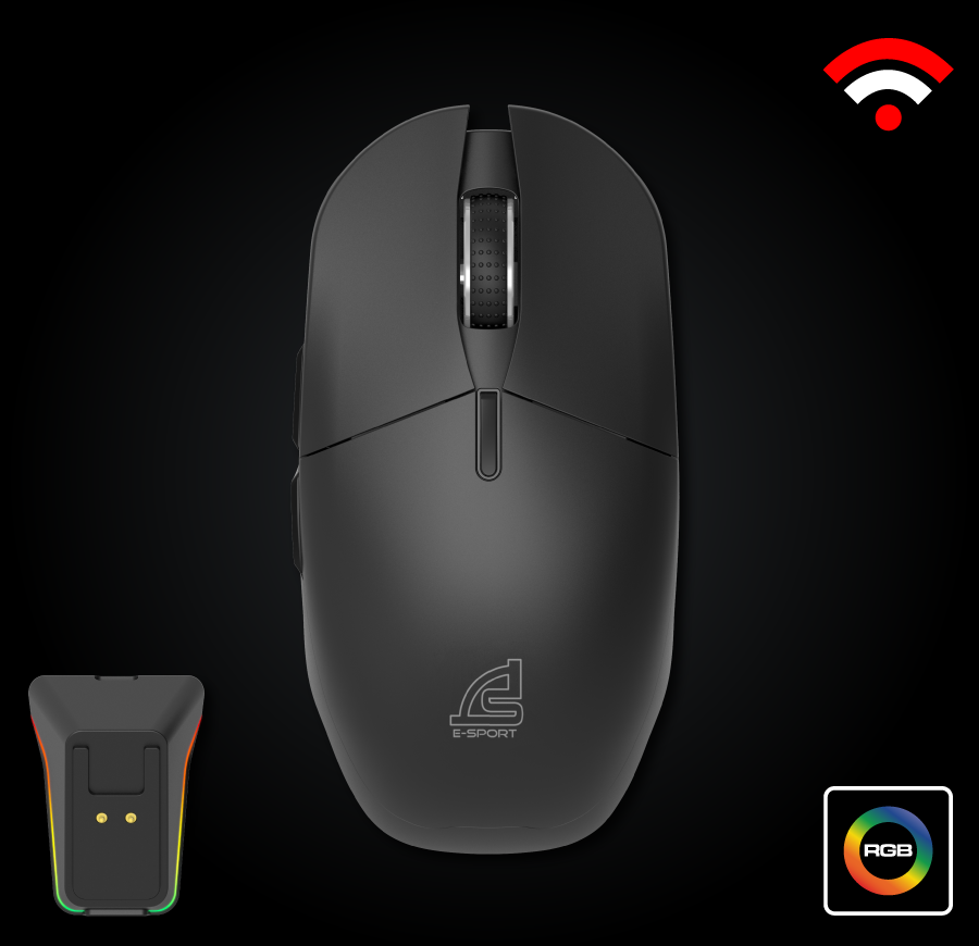 mouse