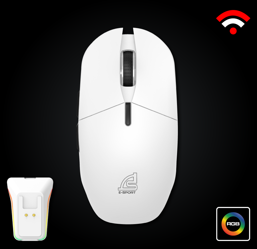 mouse