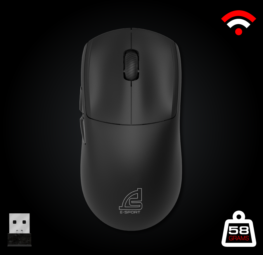 mouse