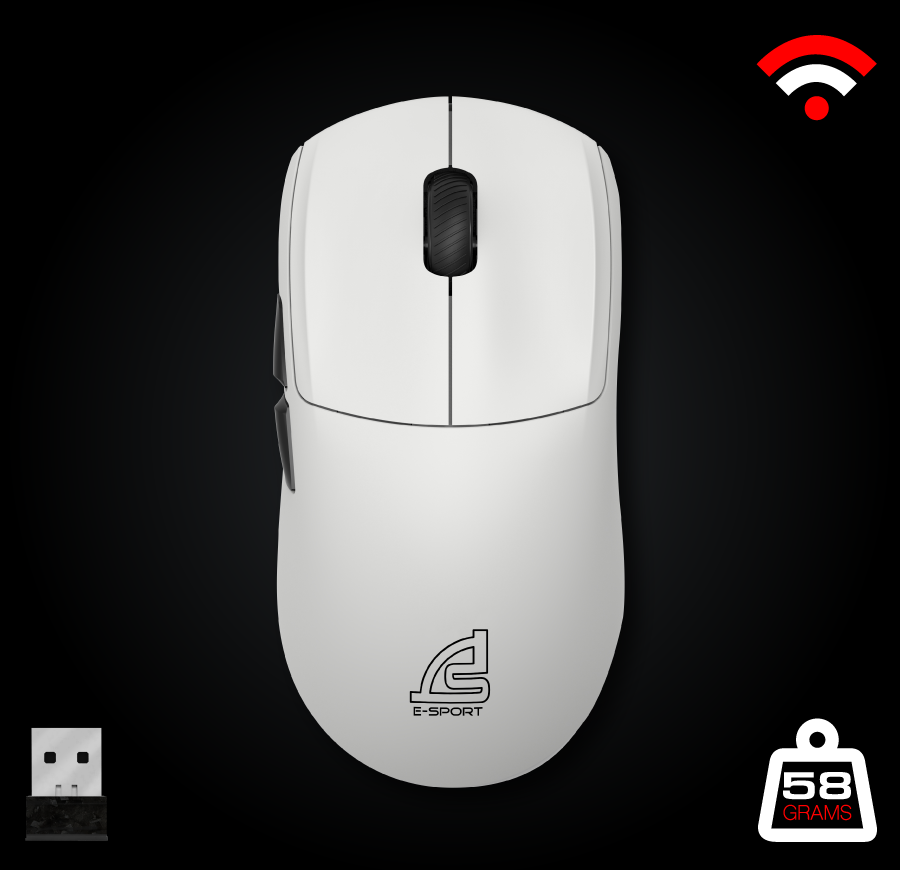 mouse