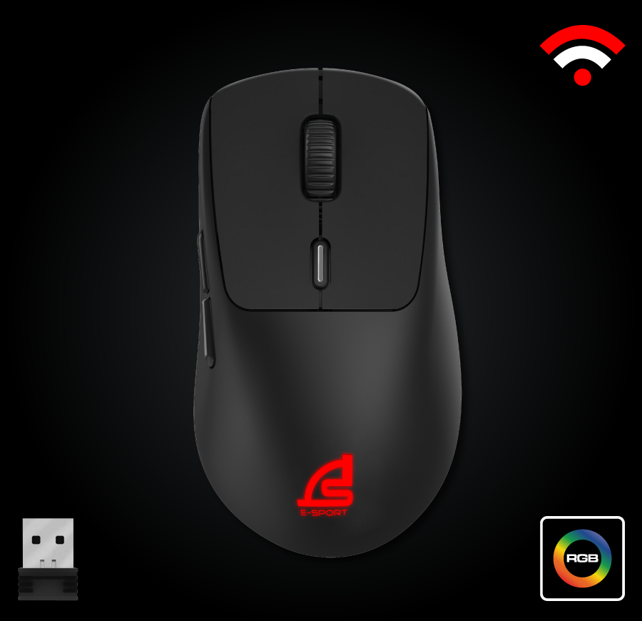 mouse