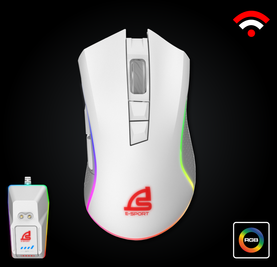 mouse