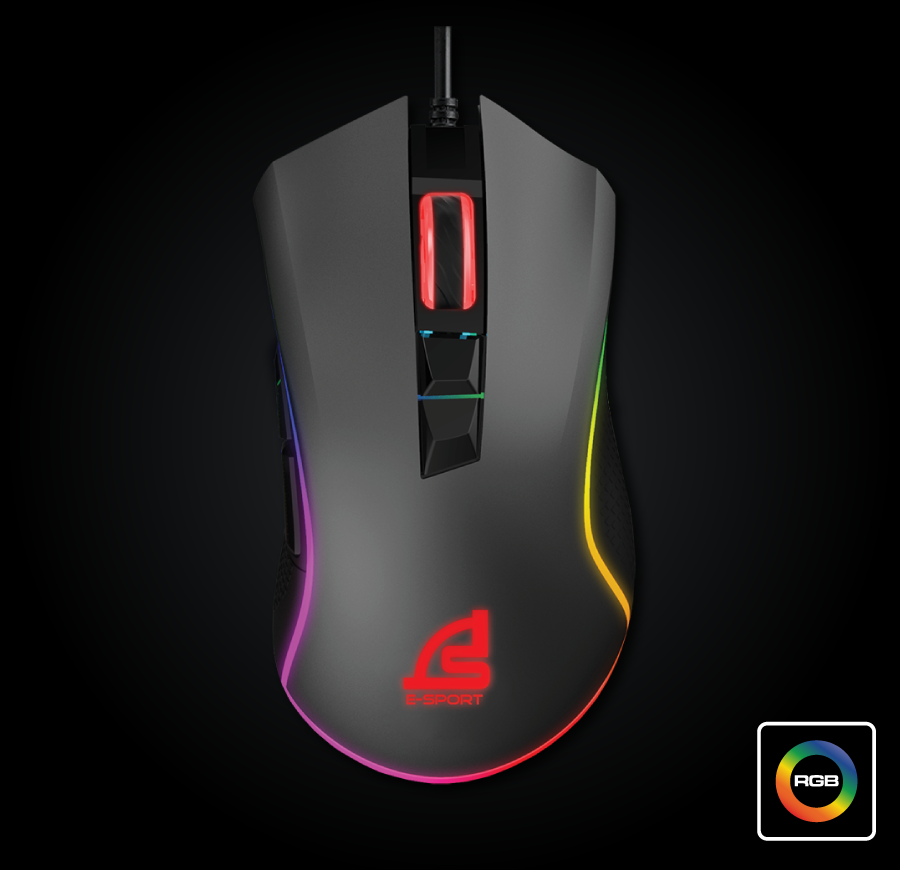 mouse
