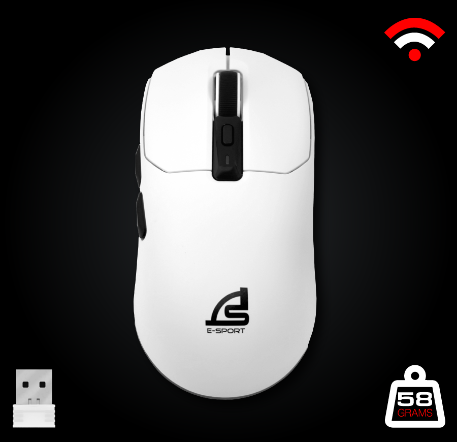 mouse