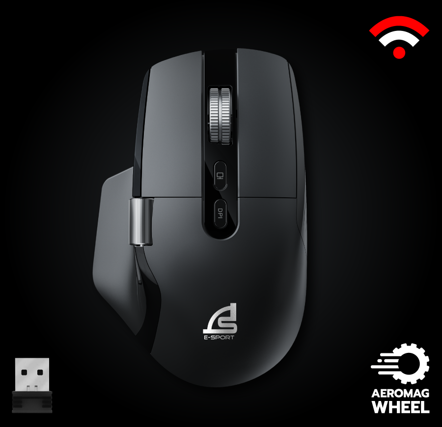 mouse