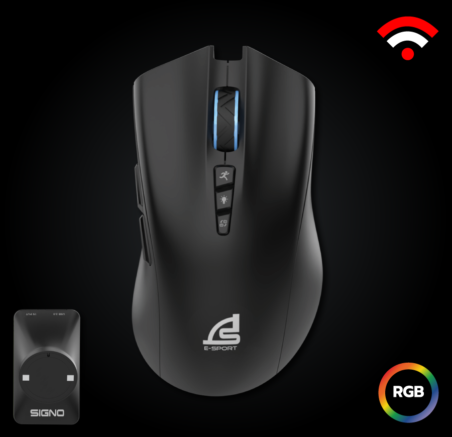 mouse