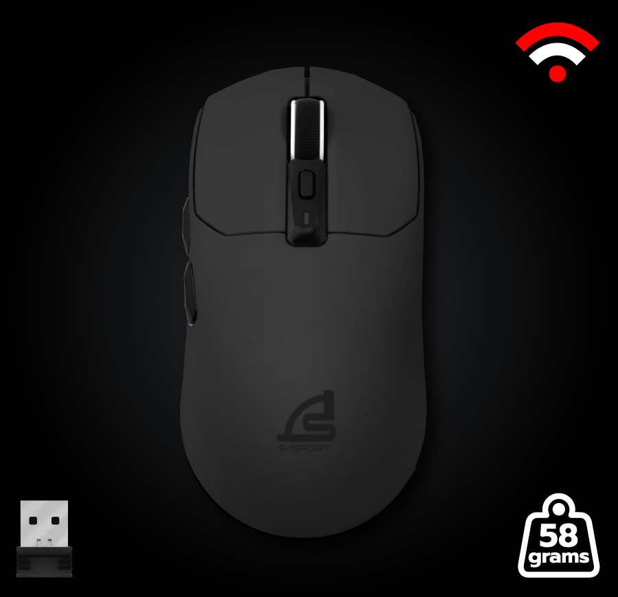mouse