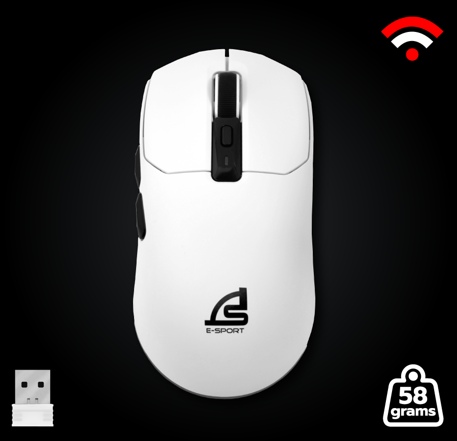 mouse
