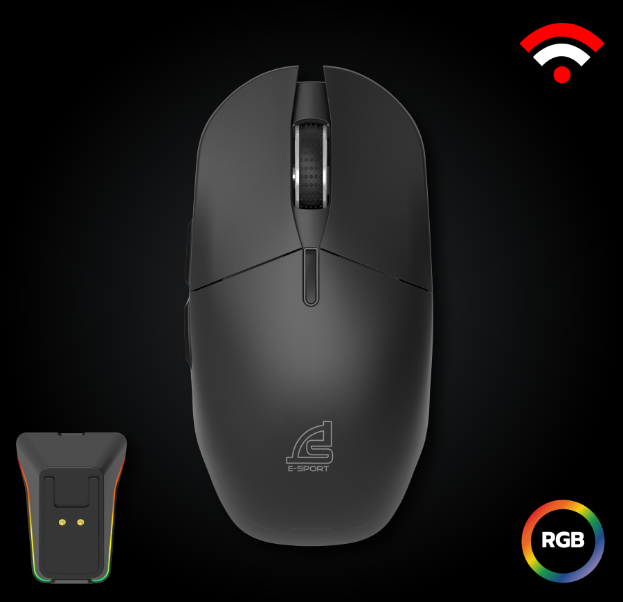 mouse