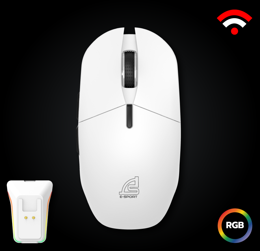 mouse