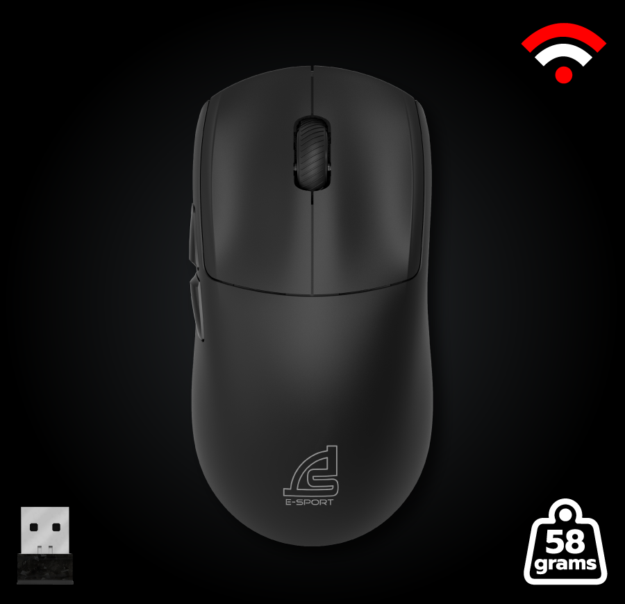 mouse
