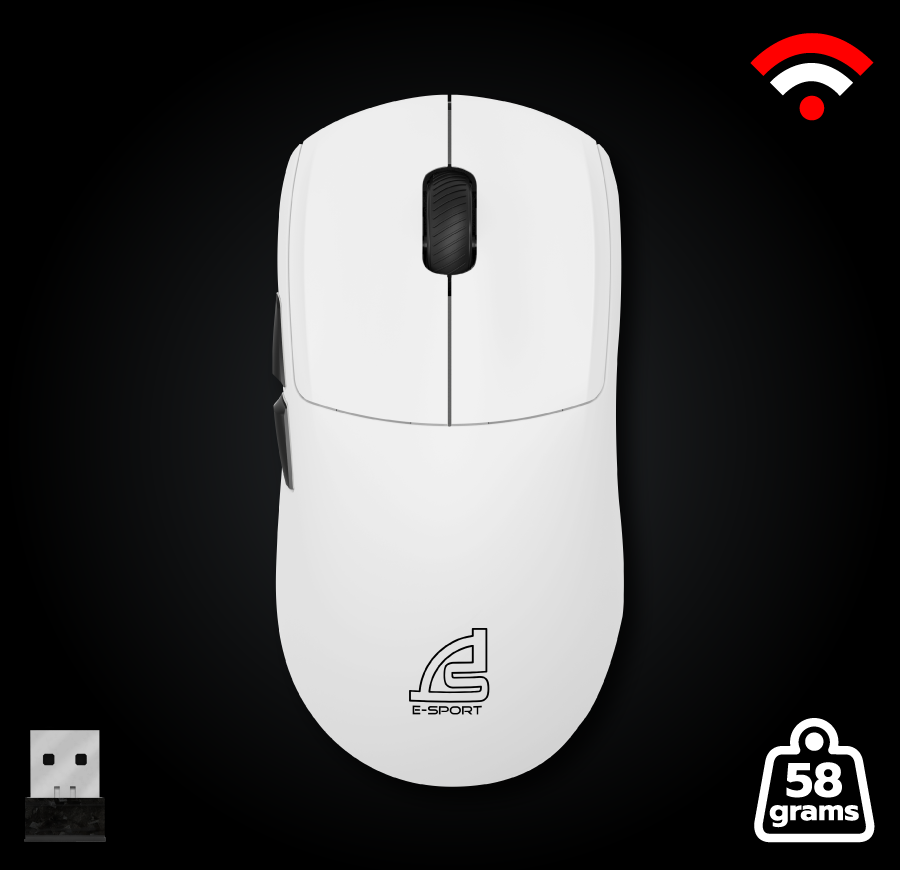 mouse