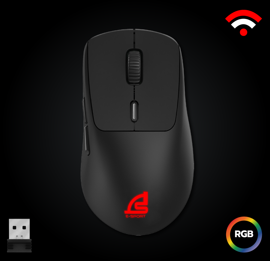 mouse
