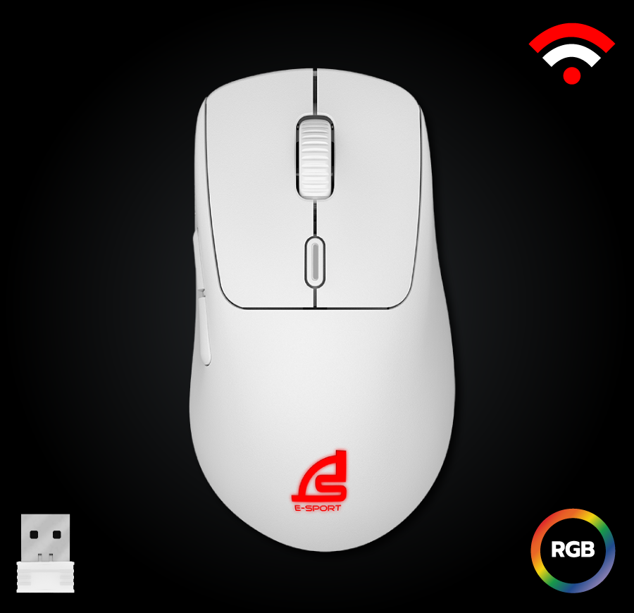 mouse