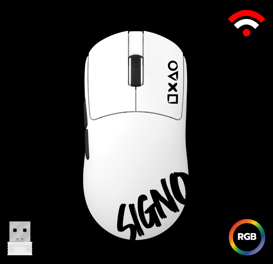 mouse