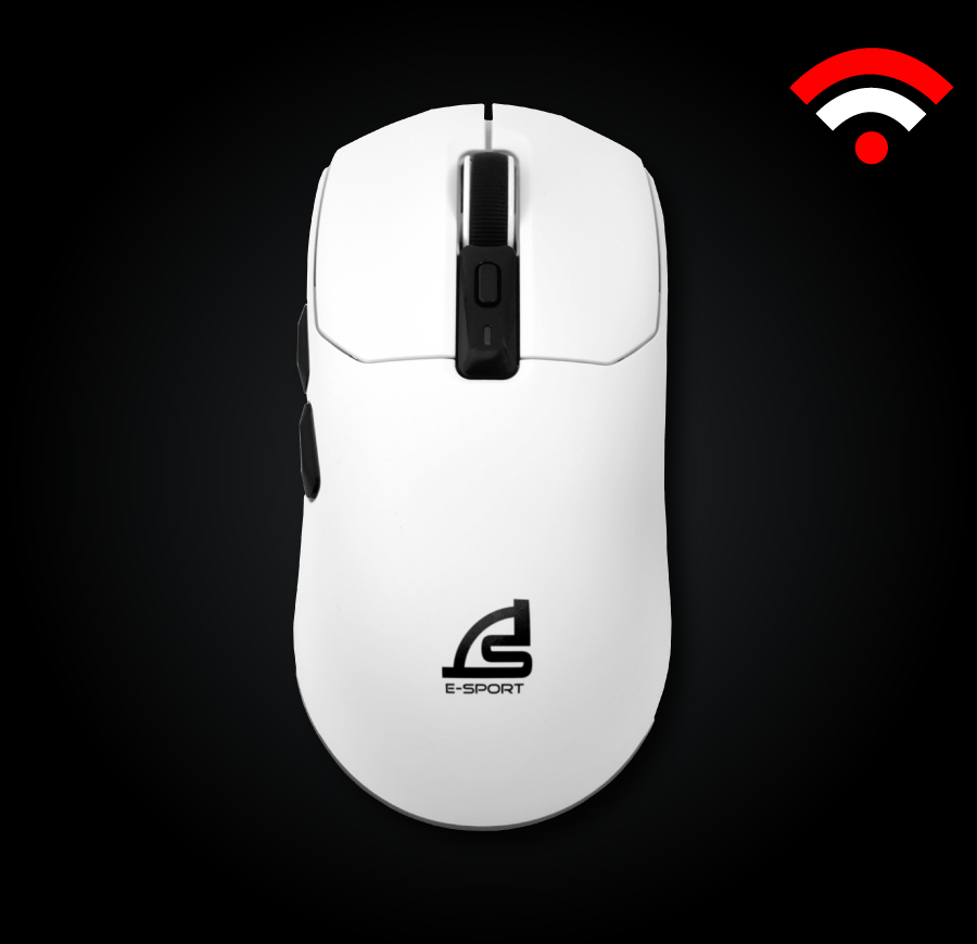 mouse
