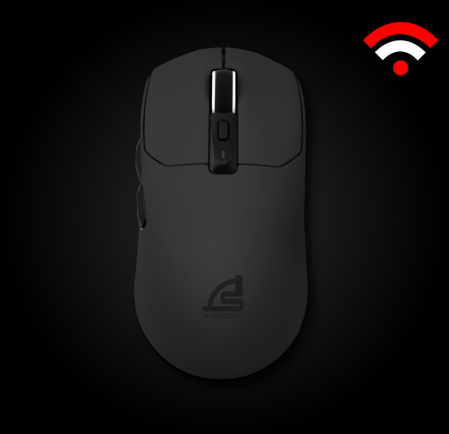 mouse